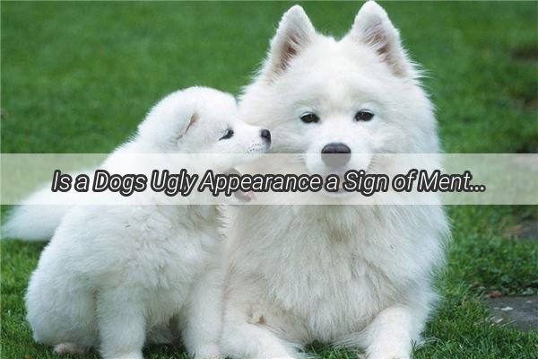 Is a Dogs Ugly Appearance a Sign of Mental Disability A Heartwarming Dive into Canine Compassion